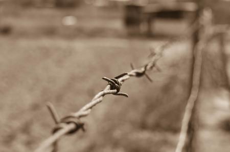 Close-up of Wire Against Blurred Background