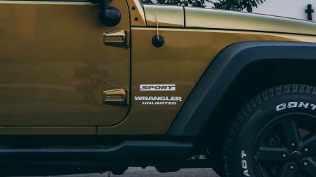 Close-up Photo of Brown Wrangler