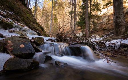 Close-Up Photo of Cascade