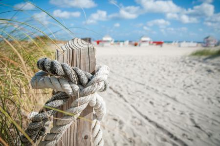 Close Up Photo of White Rope on Brown Wood