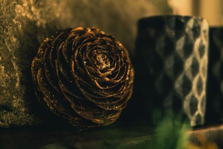 Close-up Photography of Golden Pine Cone