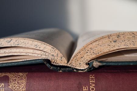 Closed Up Photo of an Open Book