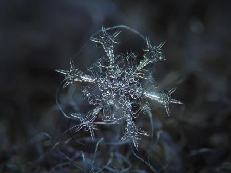 Close-up of Snowflakes