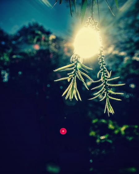 Closeup Photography of Beige Light With Two Green Leaves