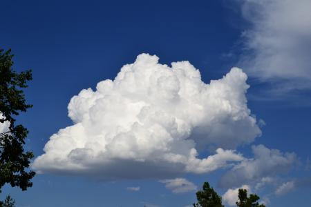 Large Puffy Clouds