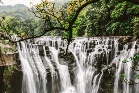 Cluster Waterfalls Surrounded With Trees