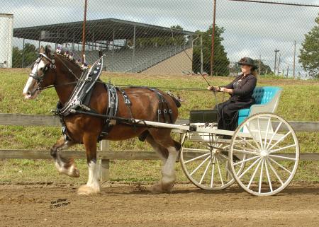 Clydesdales Farm