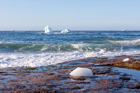 Coastal Icebergs
