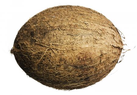 coconut