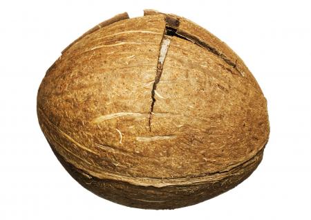 Coconut