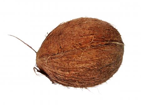 Coconut
