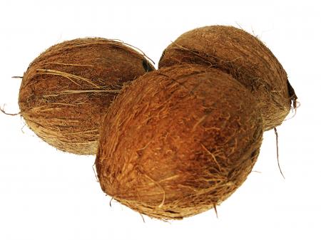 Coconuts