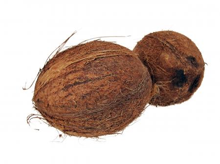 Coconuts