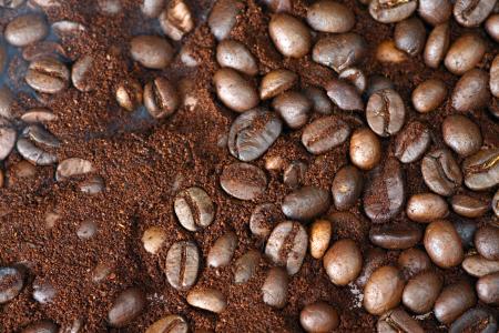 coffee beans