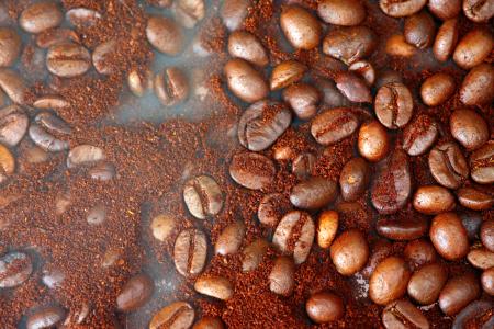 coffee beans
