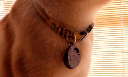 Collar & tag photos for website feedback