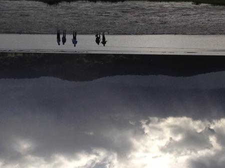 Collecting worms for bait, Narooma