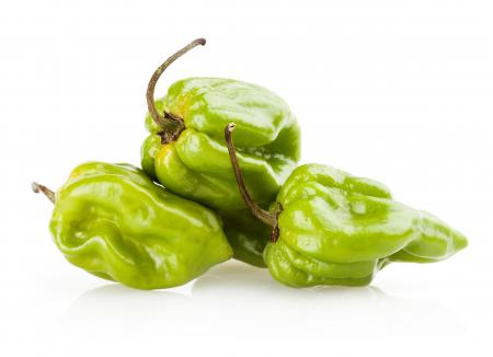 Colorful bell peppers isolated on white