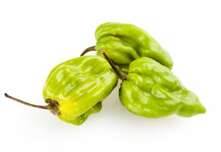 Colorful bell peppers isolated on white