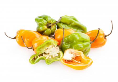 Colorful bell peppers isolated on white