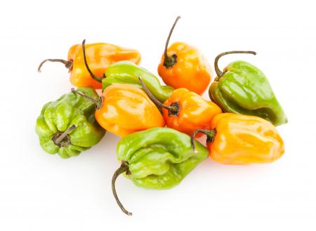 Colorful bell peppers isolated on white