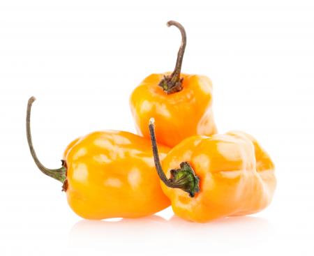 Colorful bell peppers isolated on white