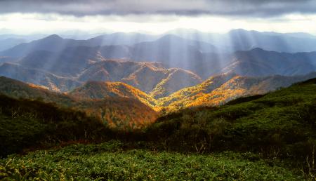 Colors of Autumn