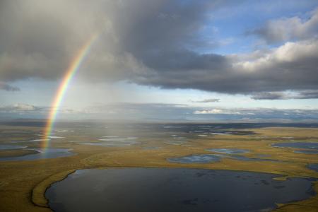 Colors of Nature