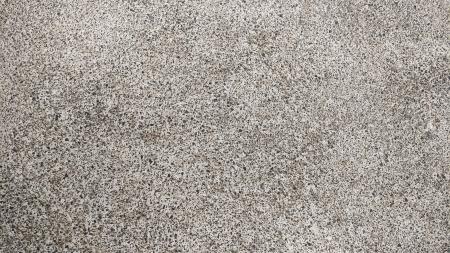 Concrete Texture