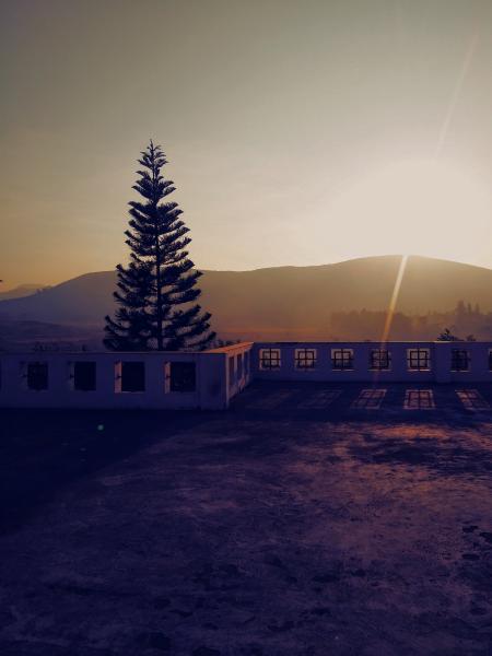 Concrete Bench Near Pine Tree Background of Mountain during Sunset