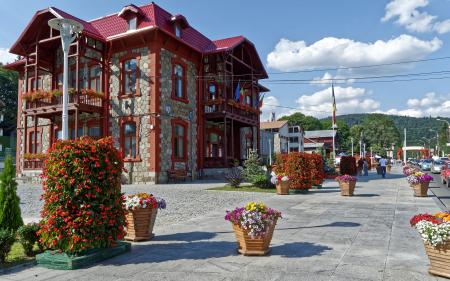 Concrete Building Surrounded with Flowers Near Roadway