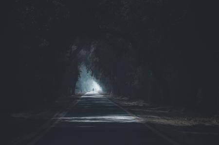 Concrete Road Surrounded by Trees