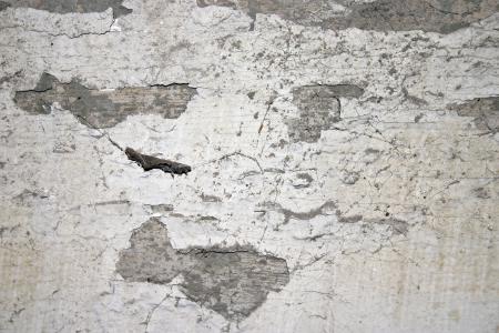 Concrete wall texture