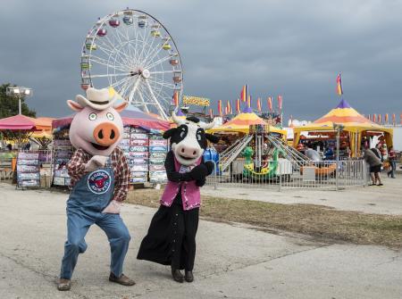 Costumed Pig and Cow