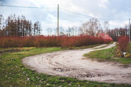 Country road