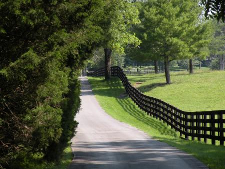 Country Road & Fence