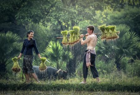 Couple in the Field