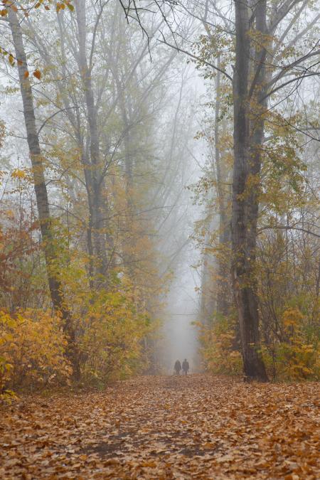 couple in the forest