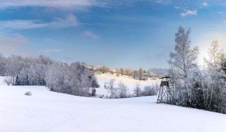 Covered with Snow