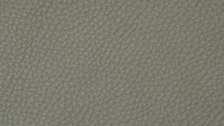 Leather background