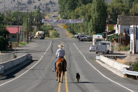 Cowboy on the Road