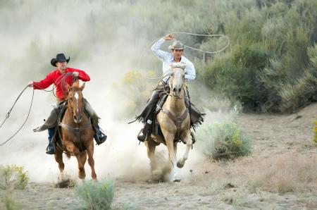 Cowboy with Horse