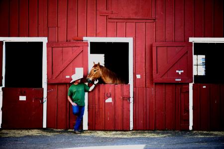 Cowboy with Horse