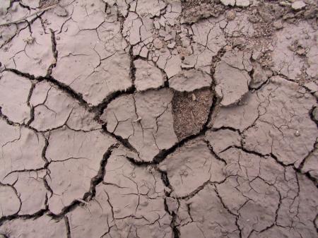 Cracked mud surface