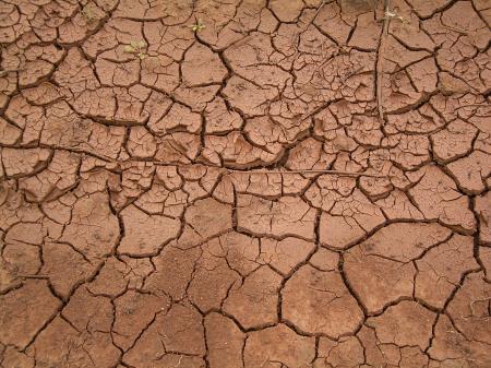 Dried Mud