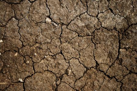 Cracked Mud Texture