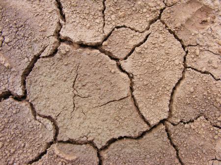 Cracked Soil Texture