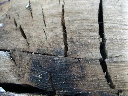 Cracked Wood