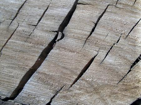 Cracked Wood