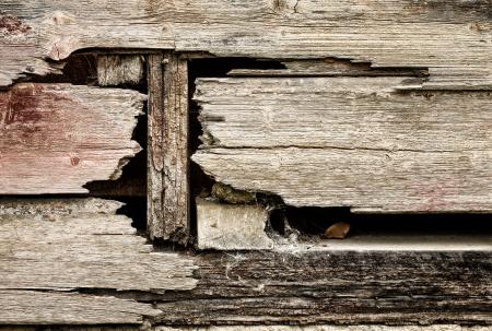 Cracked wood wall